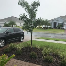Thank you for my new tree