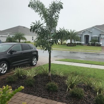 Blue Bell Landscaping - Thank you for my new tree - Landscaping Near Me - Merritt Island, Florida