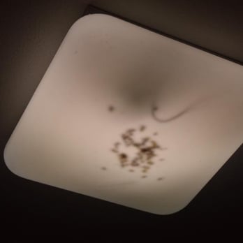 Hudson Valley Resort & Spa - dead bugs in the light of the bathroom - Resorts Near Me - Kerhonkson, New York