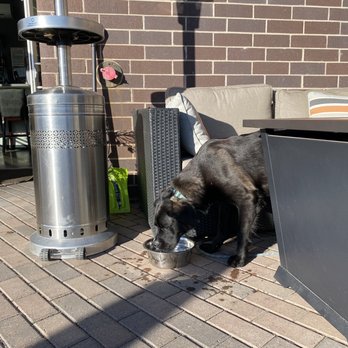 Aperitivo - Dog friendly - Coffee & Tea Near Me - Boulder, Colorado