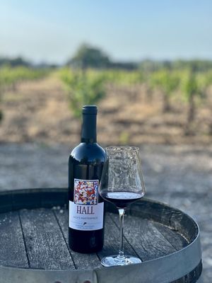 Colonia Las Liebres Bonarda – Hop City Beer & Wine