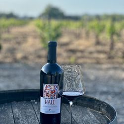 BACA Wines - Wine and chocolate pairing.