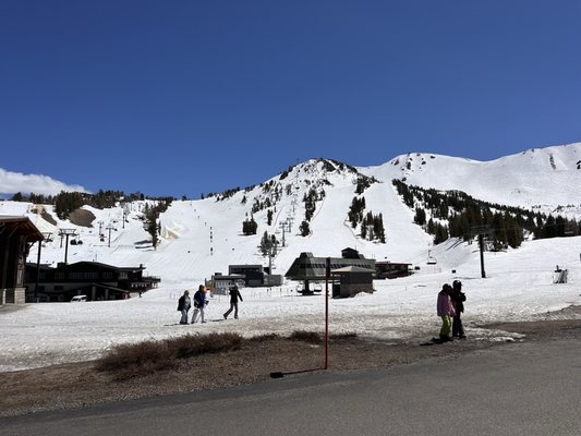 Mammoth Mountain Ski Area by null