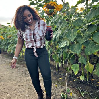Peltzer Pumpkin Farm - Sunflower garden - Pumpkin Patches Near Me - Temecula, California