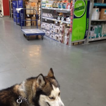 Lowe's Home Improvement - They allow dogs - Hardware Stores Near Me - Sunnyvale, California Lowe's Home Improvement - They allow dogs - Hardware Stores Near Me - Sunnyvale, California