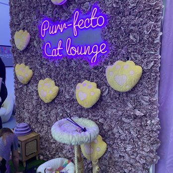 Purr-fecto Cat Lounge - Animal Shelters Near Me - Austin, Texas Purr-fecto Cat Lounge - Animal Shelters Near Me - Austin, Texas