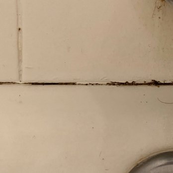 Pan American Properties - Mold master bathroom - Property Management Near Me - Tustin, California