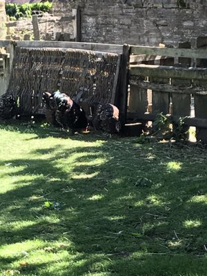 Mary Arden's Farm by null