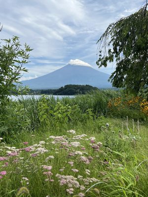 Lake Kawaguchi by null