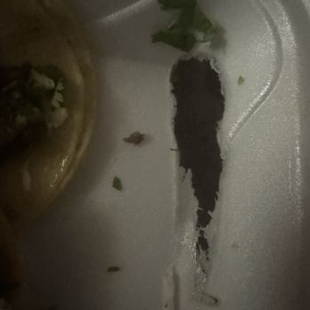 Taqueria El Buen Sazon - Food Trucks Near Me - Columbus, Ohio Taqueria El Buen Sazon - Food Trucks Near Me - Columbus, Ohio