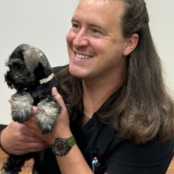 Travelers Rest Animal Hospital