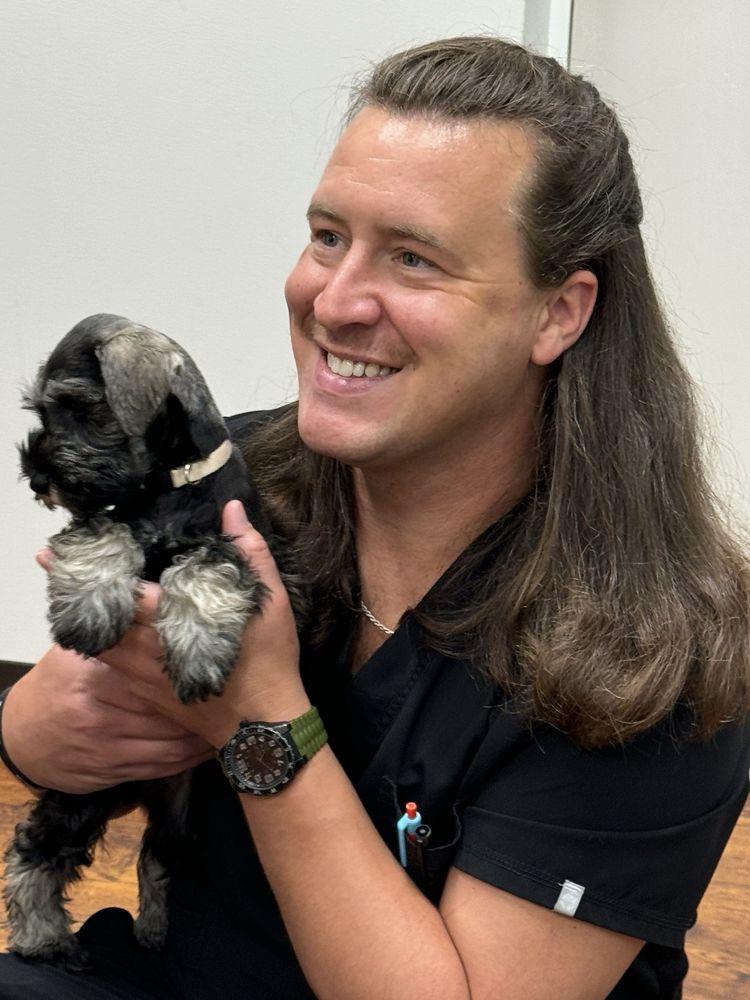 Travelers Rest Animal Hospital - pet boarding facility in Travelers Rest, SC
