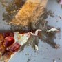 Tulsa’s Incredible Food and Fun