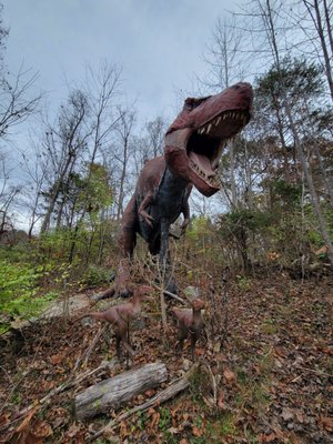 Backyard Terrors and Dinosaur Park by null