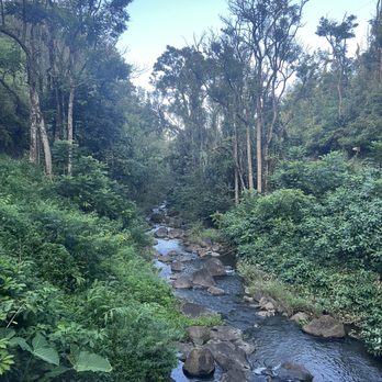 Temptation Tours - Tours Near Me - Kahului, Hawaii Temptation Tours - Tours Near Me - Kahului, Hawaii
