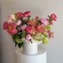 Photo of Stems