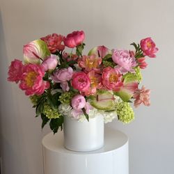 Stems