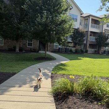 Commonwealth at 31 Apartments - Pet Friendly walkway August 2025 - Apartments Near Me - Spring Hill, Tennessee Commonwealth at 31 Apartments - Pet Friendly walkway August 2025 - Apartments Near Me - Spring Hill, Tennessee