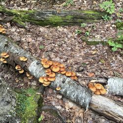 Haystack Mountain