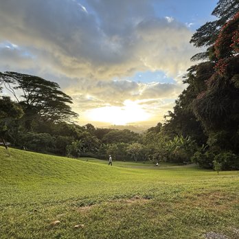 Experience Nutridge - Performing Arts Near Me - Honolulu, Hawaii