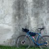 Cadence Cyclery Of Lakeside gift card