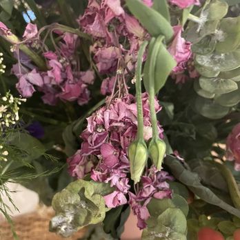 Colonial Gardens Florist - Dead flowers after two days - Florists Near Me - Concord, Massachusetts Colonial Gardens Florist - Dead flowers after two days - Florists Near Me - Concord, Massachusetts