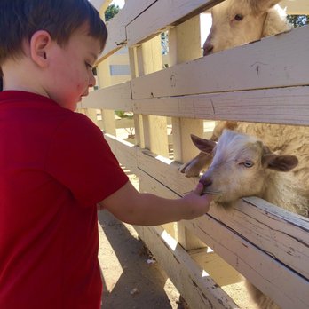 Leonis Adobe & Plummer House Museum - Museums Near Me - Calabasas, California