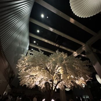 Janken - Japanese Near Me - Portland, Oregon Janken - Japanese Near Me - Portland, Oregon