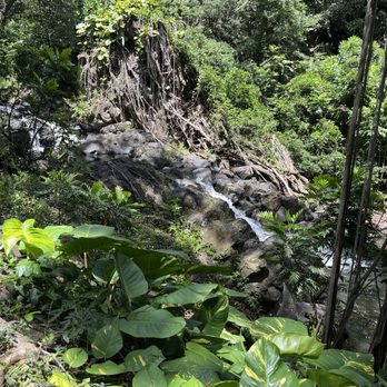 Kapena Falls - Local Flavor Near Me - Honolulu, Hawaii