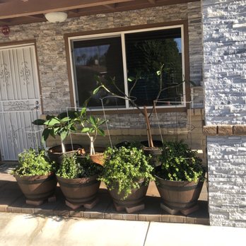 ProSmart Painting - Front yard they paint on the bottom - Painters Near Me - Meza, Arizona