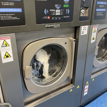 Sierra Madre Laundry - Washing - Laundry Services Near Me - Sierra Madre, California Sierra Madre Laundry - Washing - Laundry Services Near Me - Sierra Madre, California