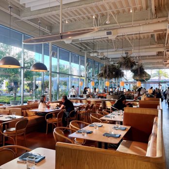 Solstice - New American Near Me - Irvine, California