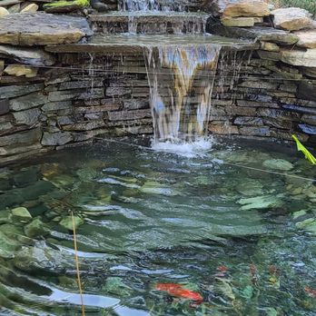 HydroZen Waterscapes - Clear to the bottom and very happy Koi. Call us today for your own piece of Liquid Serenity. - Pool & Hot Tub Service Near Me - Millsboro, Delaware HydroZen Waterscapes - Clear to the bottom and very happy Koi. Call us today for your own piece of Liquid Serenity. - Pool & Hot Tub Service Near Me - Millsboro, Delaware