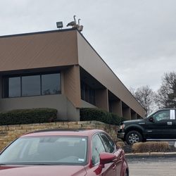 Allergy & Asthma Consultants PC - Came in for allergy shots, got stalked by geese