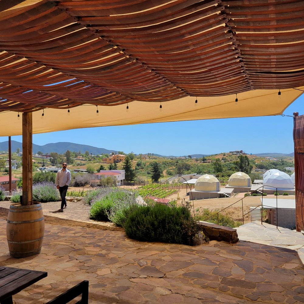 Cava Maciel - Wine Tasting Room Near Me - Ensenada, BCN Cava Maciel - Wine Tasting Room Near Me - Ensenada, BCN