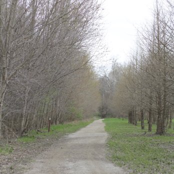 Strawtown Koteewi Park - Wide-ish paths - Parks Near Me - Noblesville, Indiana