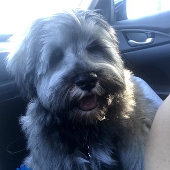 PetSmart - Pet Stores Near Me - Henderson, Nevada PetSmart - Pet Stores Near Me - Henderson, Nevada