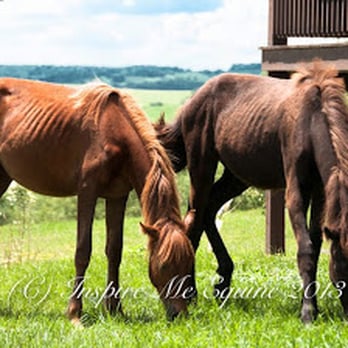 Raindancer Stables - Horseback Riding Near Me - New Bethlehem, Pennsylvania