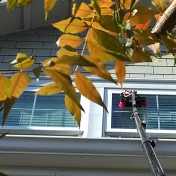 Pioneer Services - We really make your windows sparkle using the best equipment available. - Window Washing Near Me - Sunnyvale, California Pioneer Services - We really make your windows sparkle using the best equipment available. - Window Washing Near Me - Sunnyvale, California