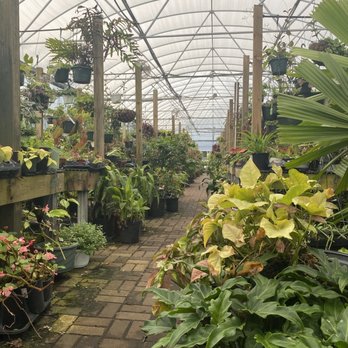Leonardi's Nursery Landscaping & Irrigation - Nurseries & Gardening Near Me - Saint Augustine, Florida