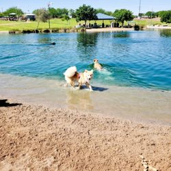Cosmo Dog Park