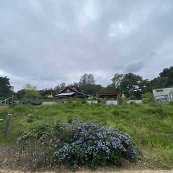 Capo Creek Winery - Wine Tasting Room Near Me - Healdsburg, California