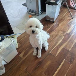 Maximus!