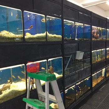 Harlingen Pets - Pet Stores Near Me - Harlingen, Texas