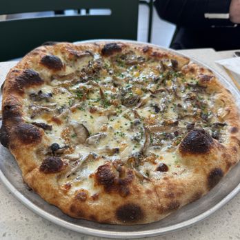 Pizzeria Luca - Mushroom pizza - Italian Near Me - Lancaster, Pennsylvania Pizzeria Luca - Mushroom pizza - Italian Near Me - Lancaster, Pennsylvania
