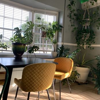 Half Rooted - Cozy indoor dining room - Colombian Near Me - Greenville, South Carolina Half Rooted - Cozy indoor dining room - Colombian Near Me - Greenville, South Carolina