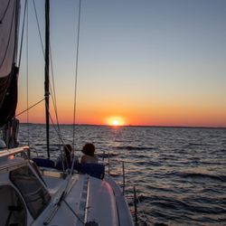 Sailing Moby Adventures
