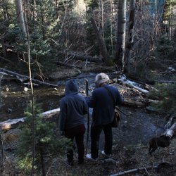 Carson National Forest - Hiking by a stream