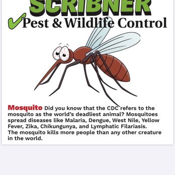 Scribner Pest & Wildlife Control - Did you know? Mosquito - Pest Control Near Me
