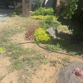 Ariel’s General Jobs - Exposed irrigation lines - Landscaping Near Me Ariel’s General Jobs - Exposed irrigation lines - Landscaping Near Me